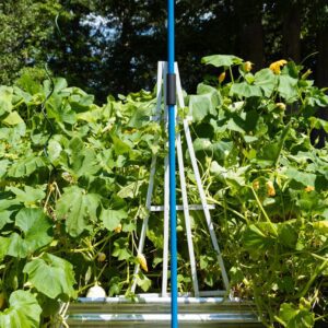 Blue garden tool in lush green foliage.