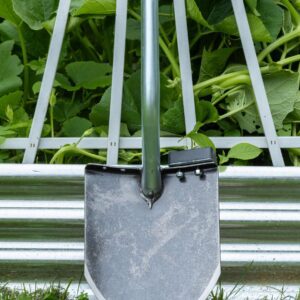Shovel leaning against garden fence and plants.