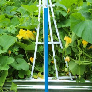 Garden trellis with green plants and flowers.