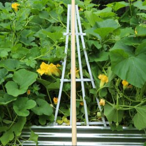Garden tool in front of lush plants.