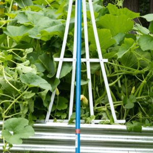 Blue pole with green plants in background.