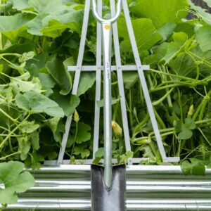 Silver bulb planter leaning against trellis