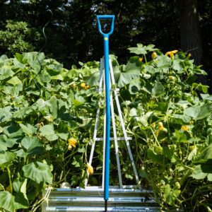 Blue garden shovel amidst lush green plants.