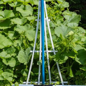Shovel leaning against garden trellis, leafy background.