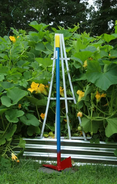 Squash vines with trellis and blue-handled tool