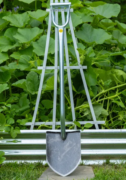 Garden spade leaning against trellis among foliage