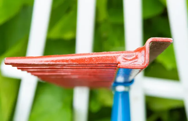Red metal rake head with blue handle