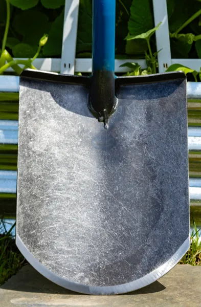 Metal garden shovel blade with blue handle